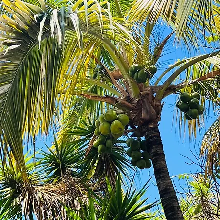 Blue Ocean Costa Adeje 506