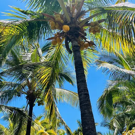 דירה Blue Ocean Costa Adeje 506