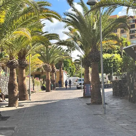 Apartment Blue Ocean Costa Adeje 506 Playa de las Americas (Tenerife)