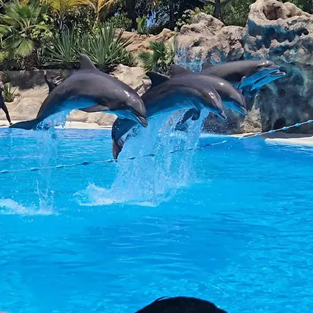 Blue Ocean Costa Adeje 506 דירה פלאייה דה לאס אמריקס