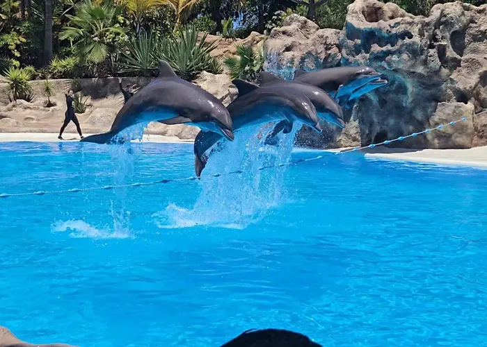 Blue Ocean Costa Adeje 506 Apartamento Playa de las Americas (Tenerife)