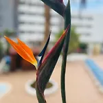 Apartment Blue Ocean Costa Adeje 506 Playa de las Américas