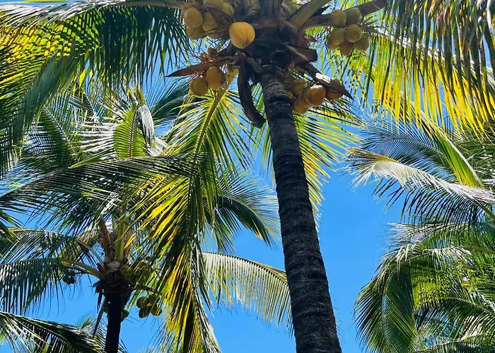 Apartman Blue Ocean Costa Adeje 506