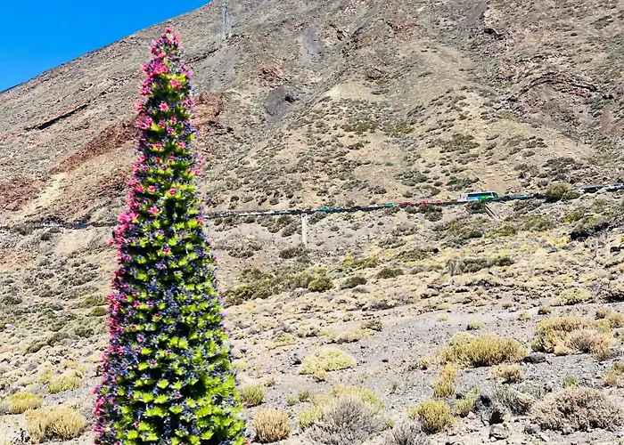 Blue Ocean Costa Adeje 506 * Πλάγια ντε λας Αμέρικας