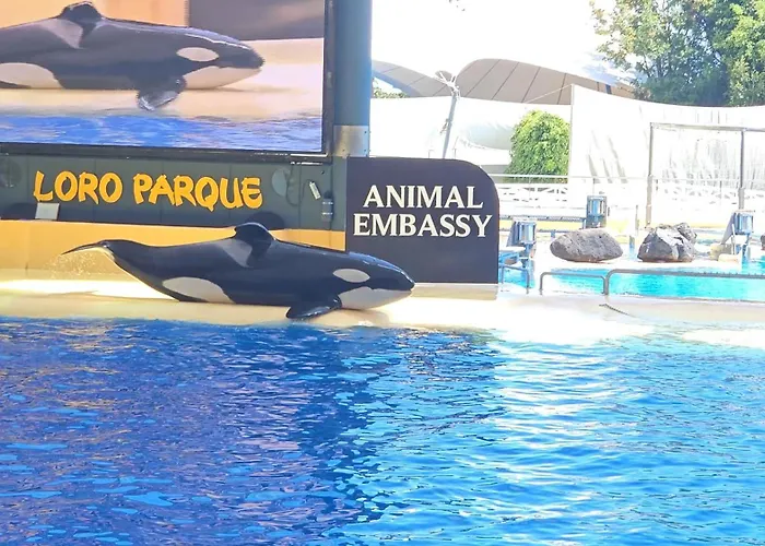 Blue Ocean Costa Adeje 506 Apartman *